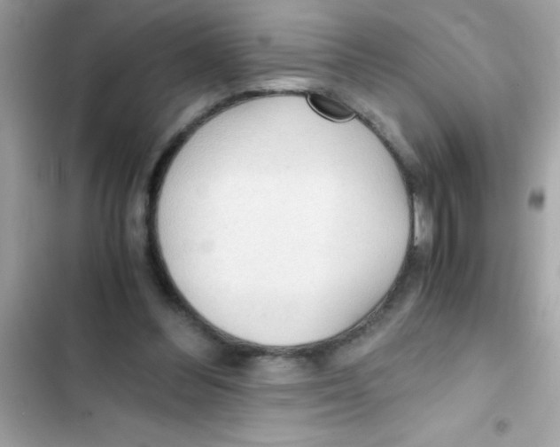 X0000103130300200809191947