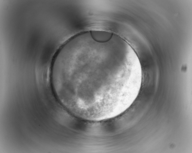 X0000103130301200809191947