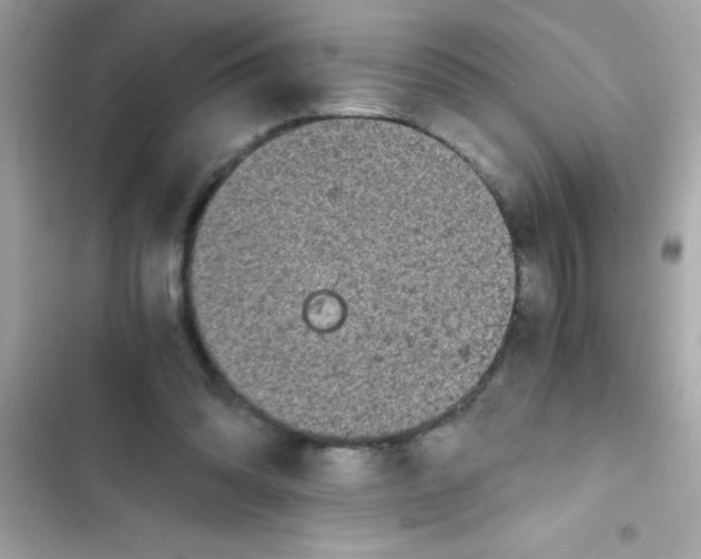 X0000103130302200809191947