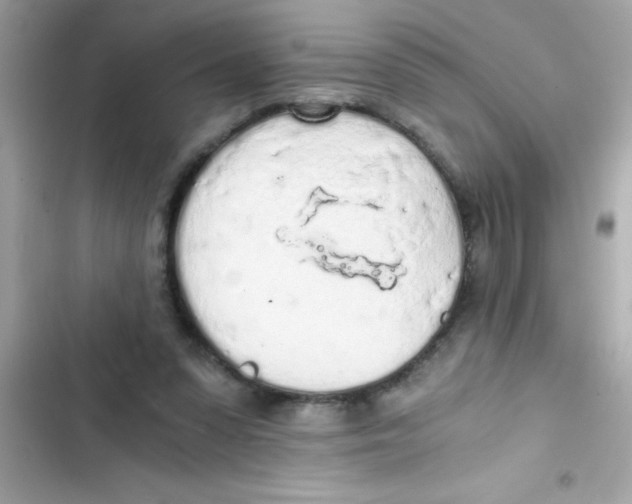 X0000103130303200809191947