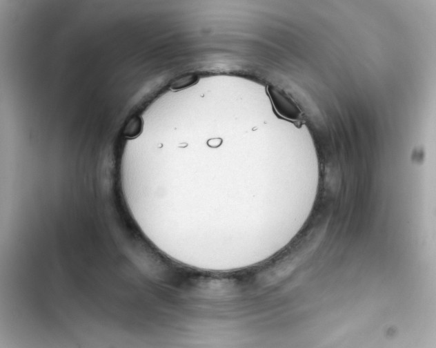 X0000103130304200809191947