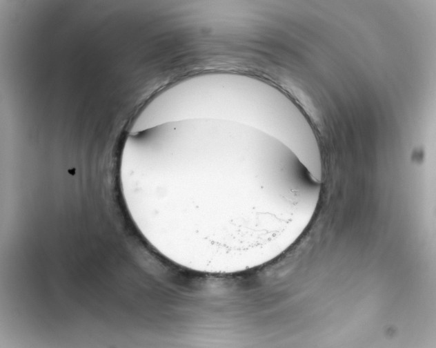 X0000103130305200809191947
