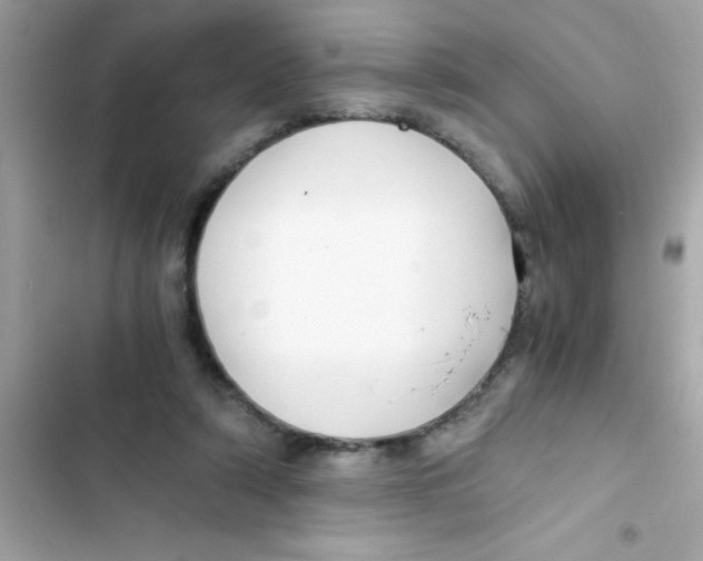X0000103130306200809191947