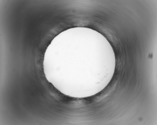 X0000103130307200809191947