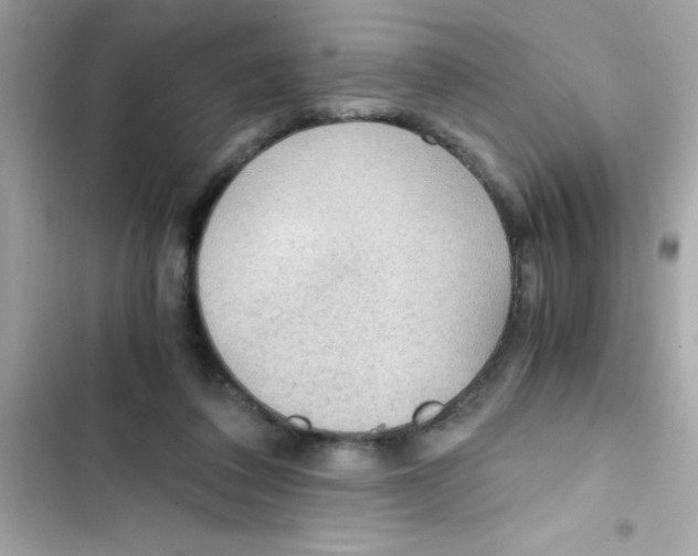 X0000103130308200809191947