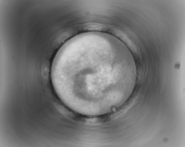 X0000103130309200809191947