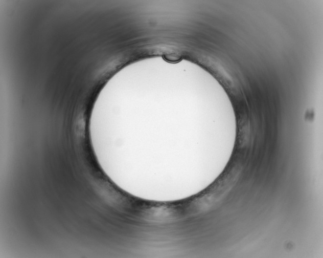 X0000103130310200809191947