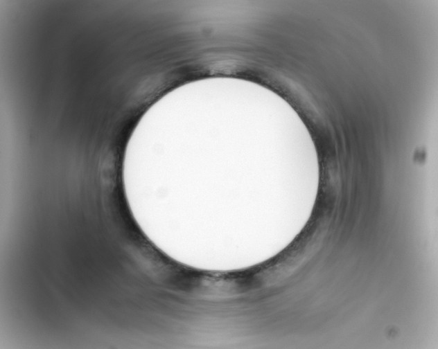 X0000103130311200809191947