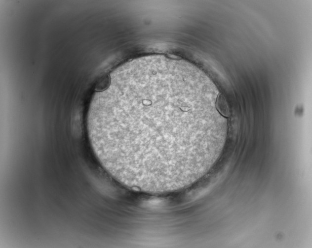 X0000103130312200809191947