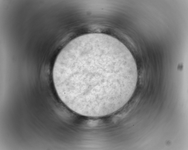 X0000103130314200809191947