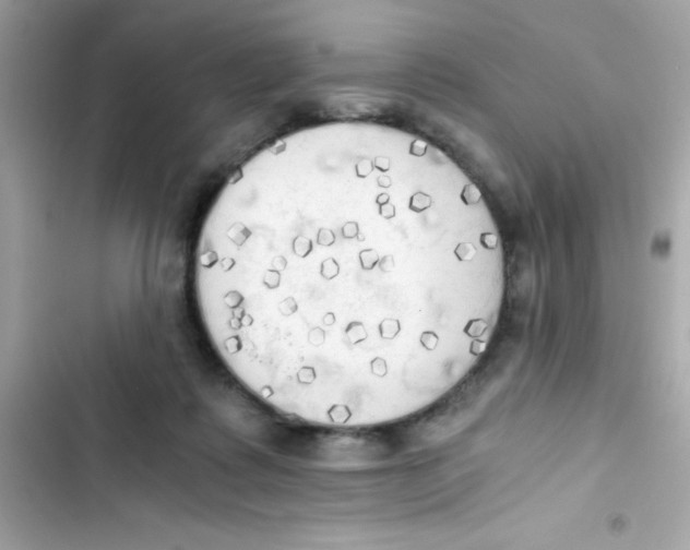 X0000103130315200809191947