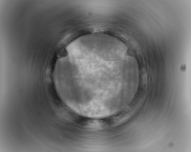 X0000103130316200809191947