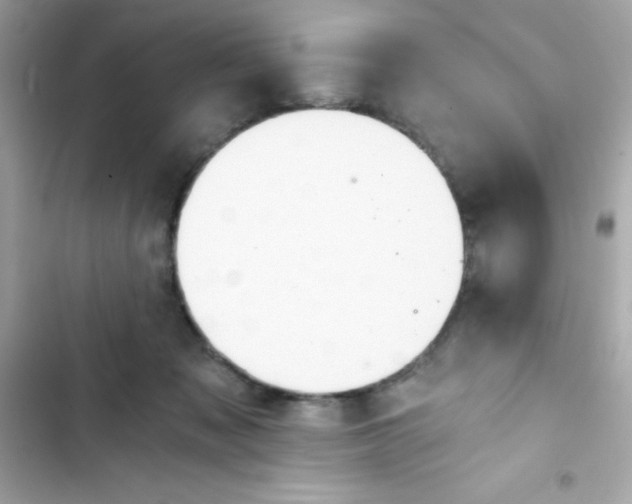 X0000103130317200809191947