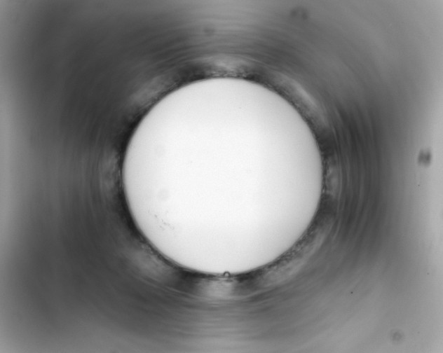 X0000103130318200809191947