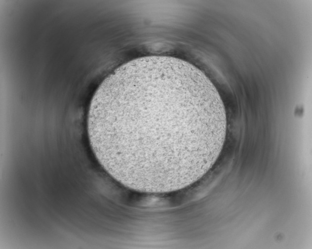 X0000103130319200809191947