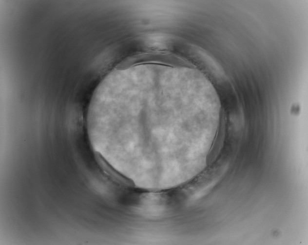 X0000103130320200809191947