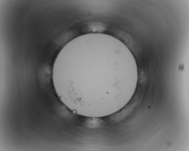 X0000103130321200809191947