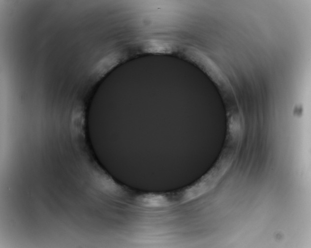 X0000103130322200809191947