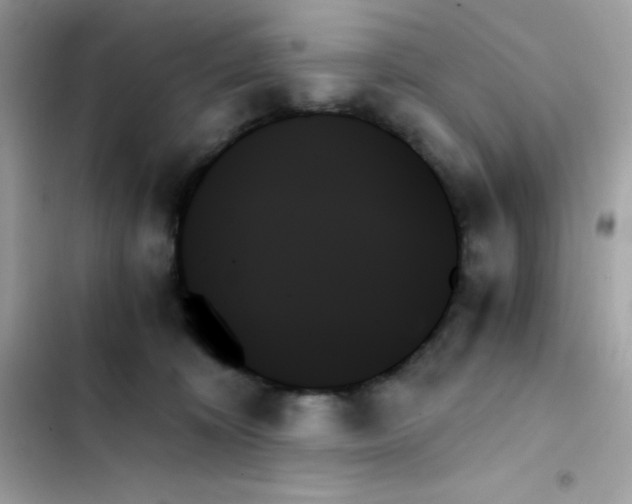 X0000103130324200809191947