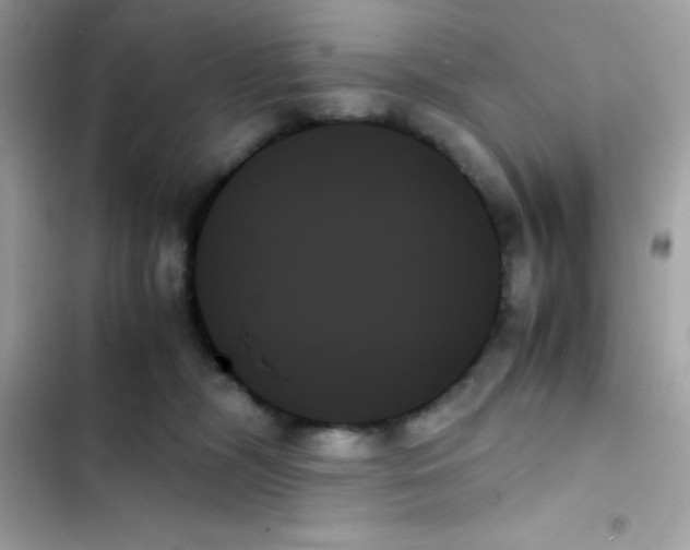 X0000103130326200809191947