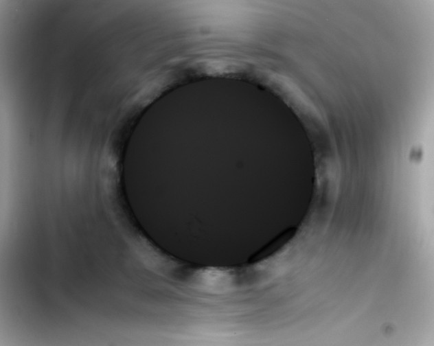 X0000103130327200809191947