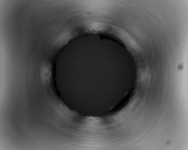 X0000103130328200809191947