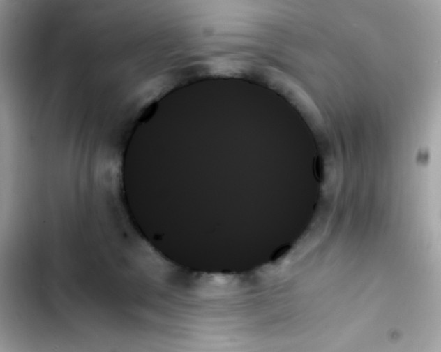 X0000103130329200809191947