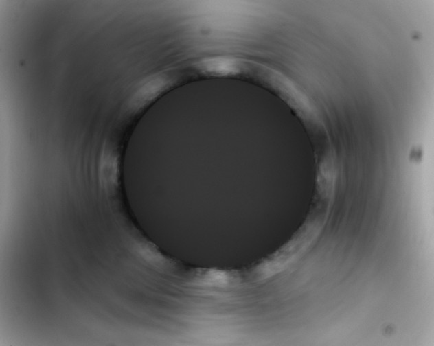 X0000103130330200809191947