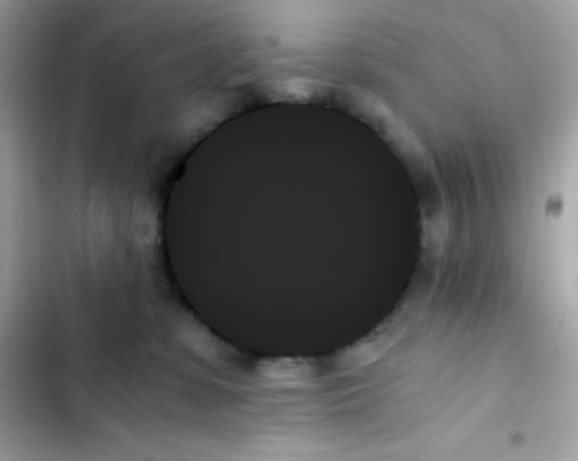 X0000103130331200809191947
