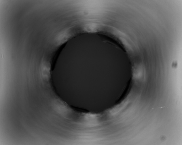 X0000103130332200809191947