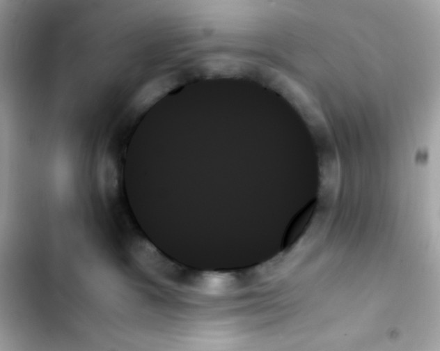 X0000103130333200809191947