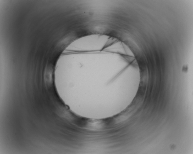 X0000103130334200809191947