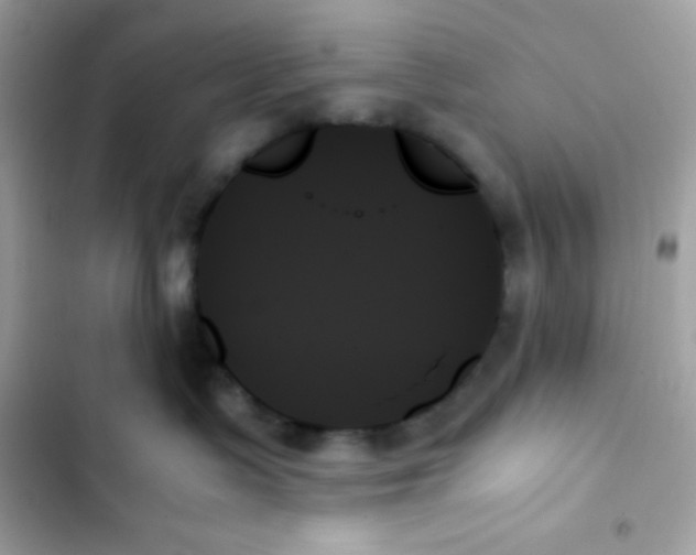 X0000103130335200809191947