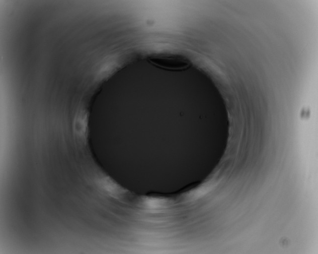 X0000103130336200809191947