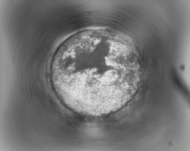 X0000103130337200809191946