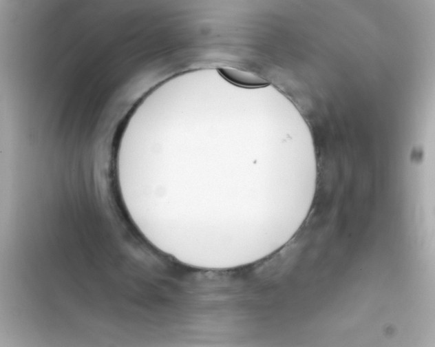 X0000103130338200809191946