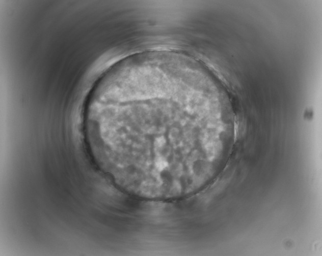 X0000103130339200809191946