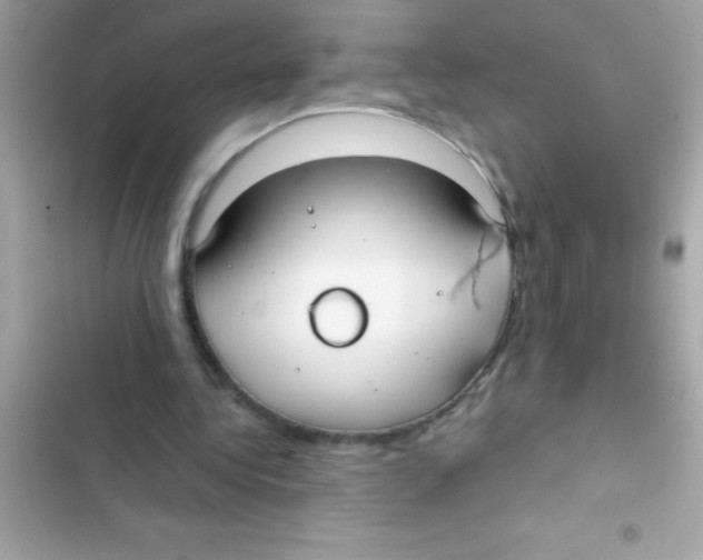 X0000103130340200809191946