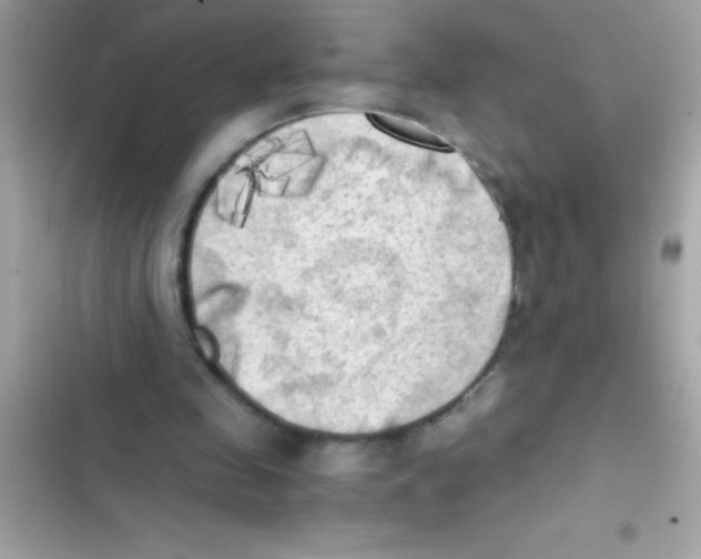 X0000103130341200809191946