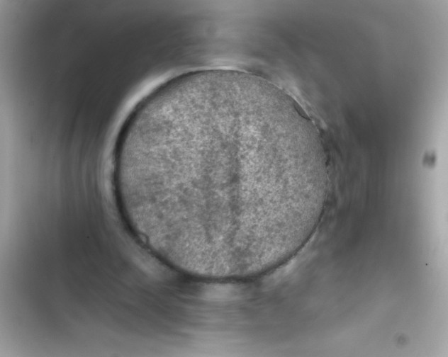X0000103130342200809191946