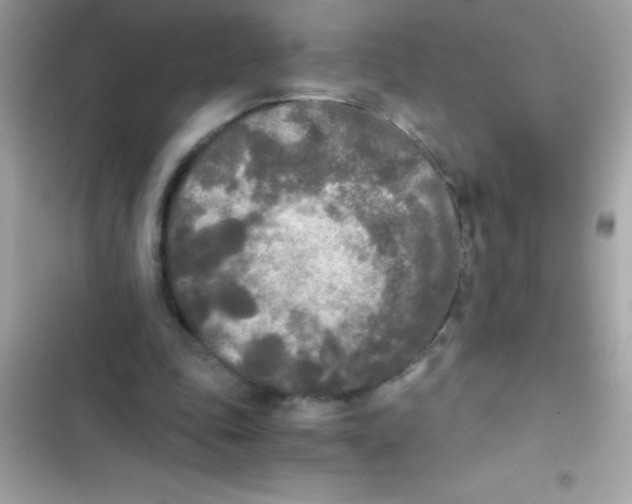 X0000103130343200809191946