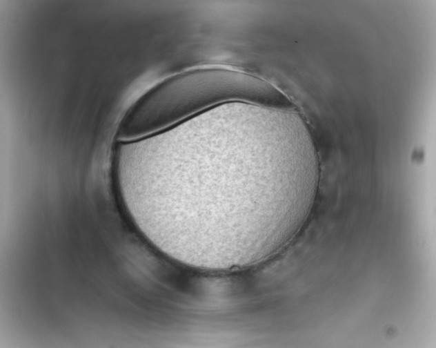 X0000103130344200809191946