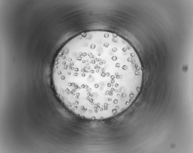 X0000103130345200809191946
