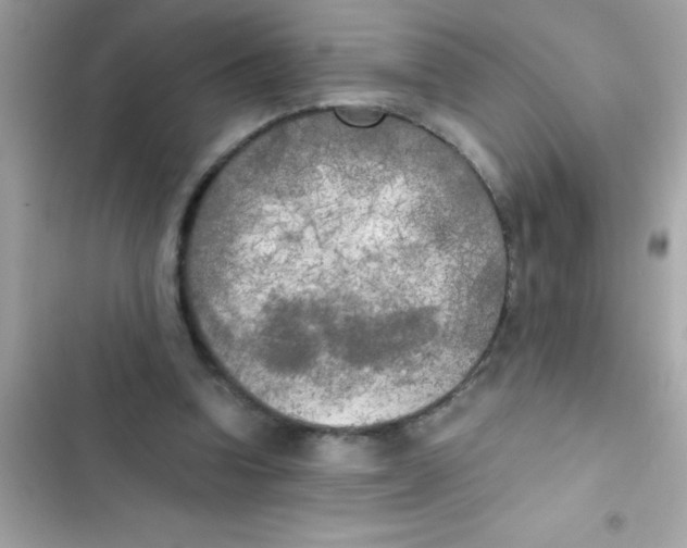X0000103130346200809191946