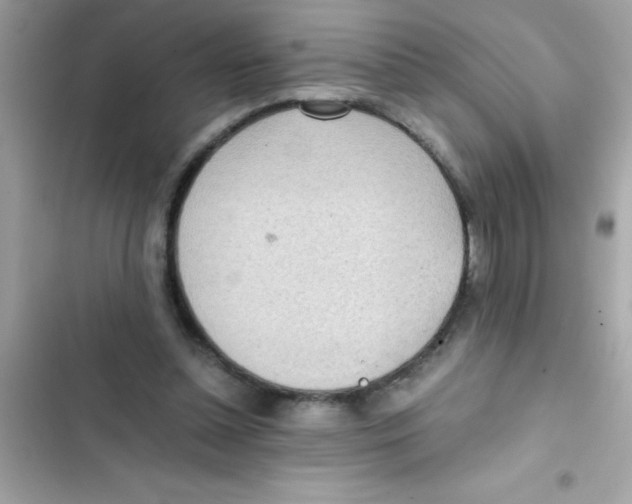 X0000103130348200809191946