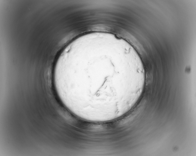 X0000103130349200809191946