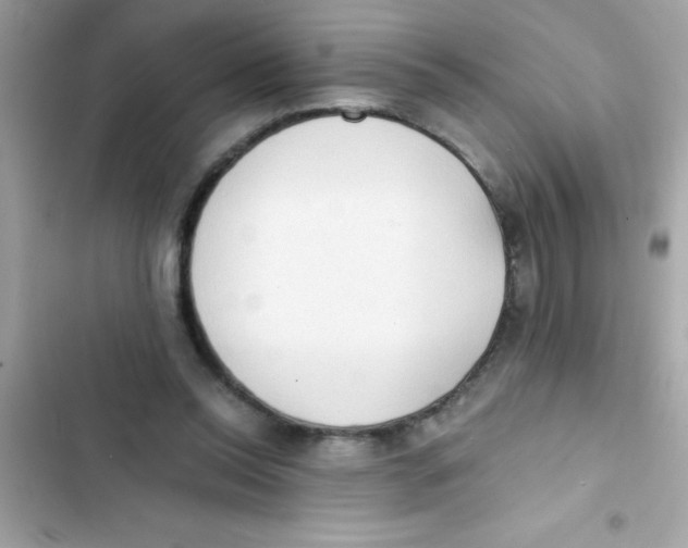 X0000103130350200809191946