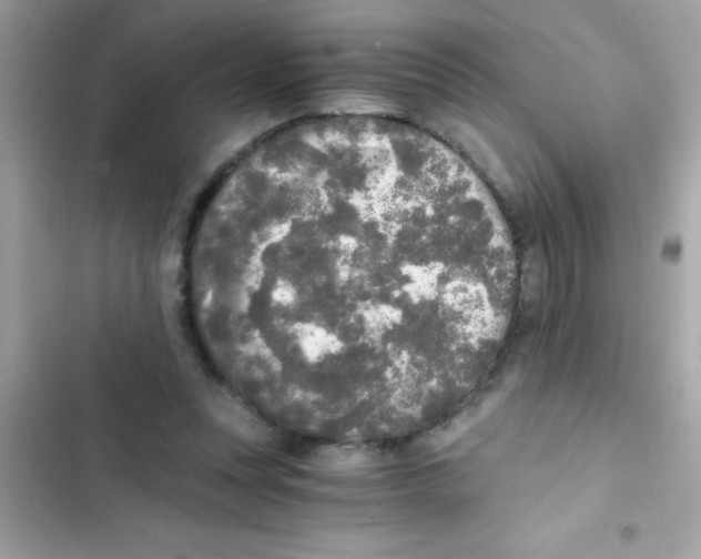 X0000103130351200809191946
