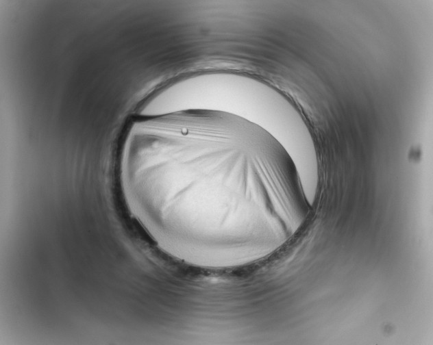 X0000103130352200809191946