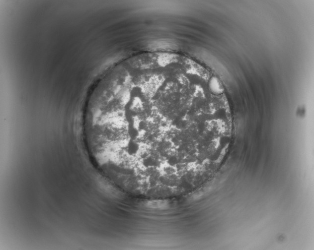 X0000103130353200809191946